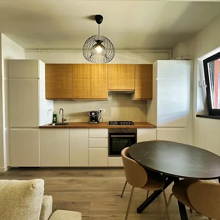 公寓 Neo 5 - Chic & Cozy - Private Parking 蒂米什瓦拉